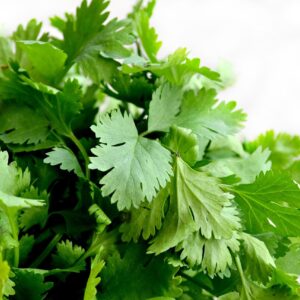 AGRI DIAL CORIANDER LEAVES