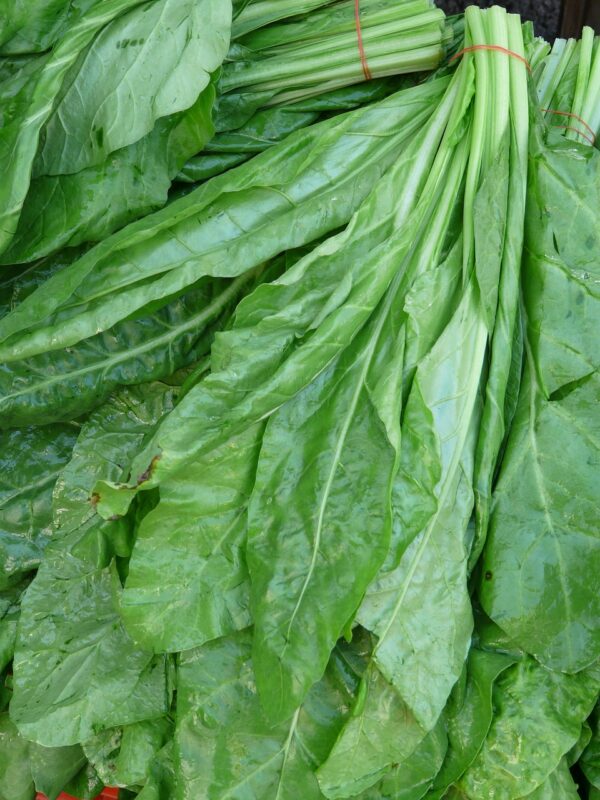 AGRI DIAL SPINACH LEAVES